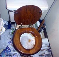 A dirty Toilet