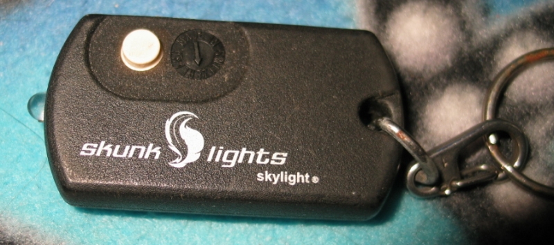 Skunklights Skylight